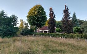 B&B De Oale Snieder